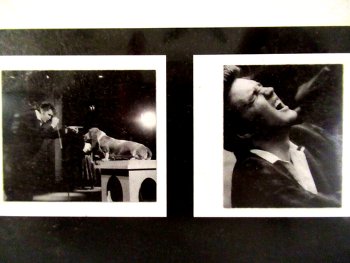 "ELVIS / THE WERTHEIMER COLLECTION" ~(2005)~ ** ROCK 'N ROLL / CALENDAR ** #45 - Bild 7 von 7