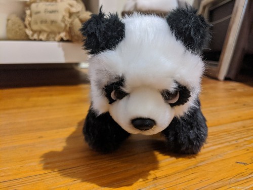 small panda bear toy