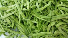 25 Vegetable Seeds Roma II Flat Bush Bean Italian Style Bean -Limited Supply