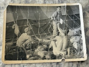 Korean POWs Original Photo