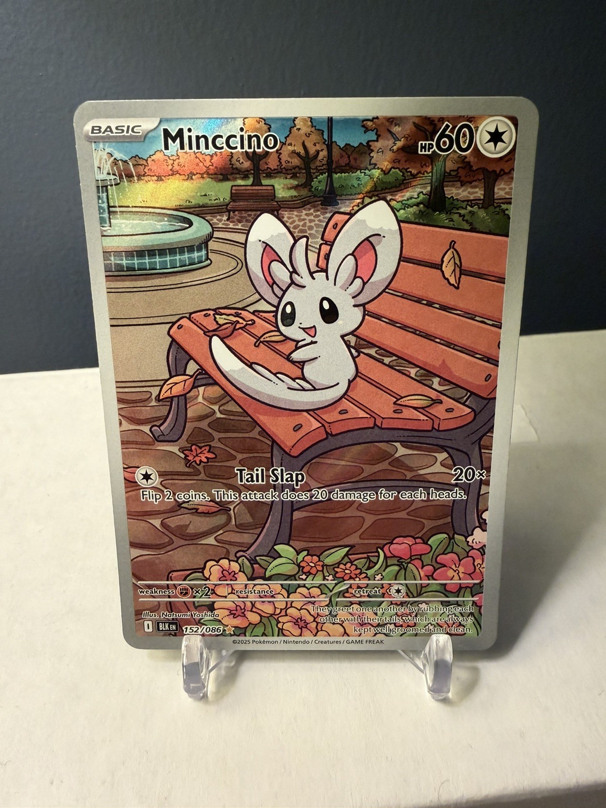 Minccino Illustration Rare 152/086 Pokemon Black Bolt English IR