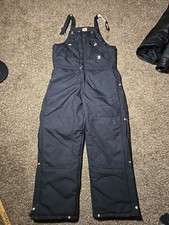 Carhartt Extremes Yukon Arctic R33 Quilted Insulated Bib Overall Pants 34 x 30