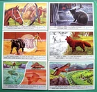 LIEBIG - S1861   F1858 - HOW ANIMALS SEE 2  - SET OF 6 - 1973 - ITALIAN