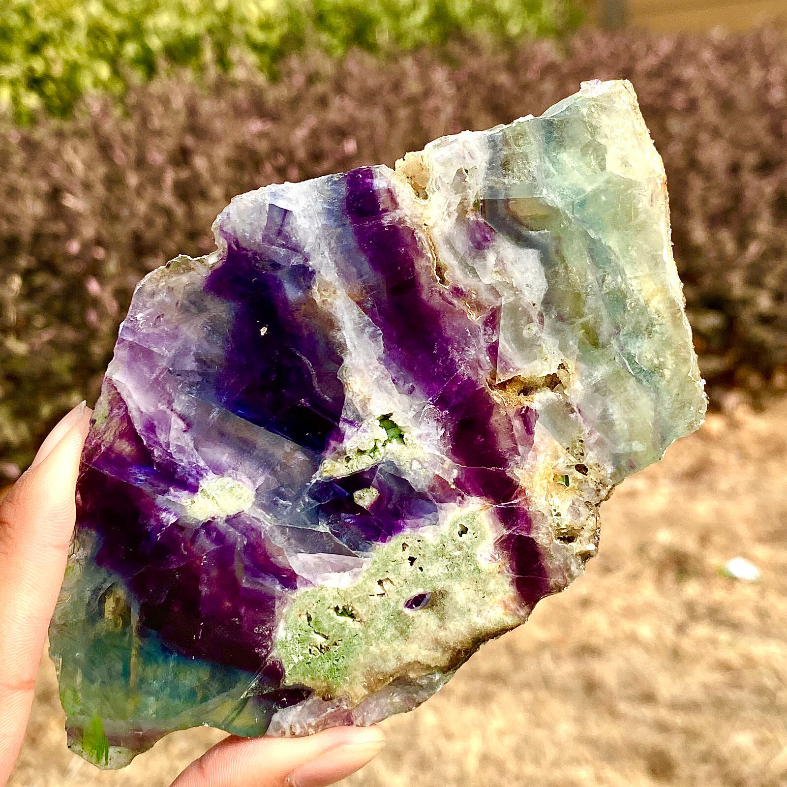 205G Stunning Natural Fluorite Slice Quartz Crystal Mineral Specimen