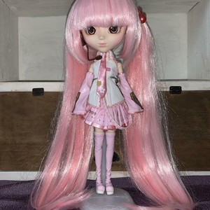 pullip miku sakura