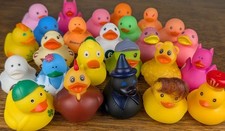 25 Rubber Duck Lot Jeep Ducks Mixed Characters Witch Turkey Leopard Funny Hair