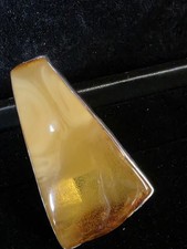 Sterling Silver 925 Baltic Amber Butterscotch Ring Size 8