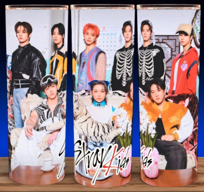 Stray Kids Lose KPOP Korean Pop Boy Band Group  Cup Mug Tumbler 20oz