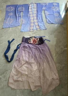 Ming Dynasty Chinese Hanfu Cloak Big Sleeve Cardigan Kimono Cape Fairy Dress