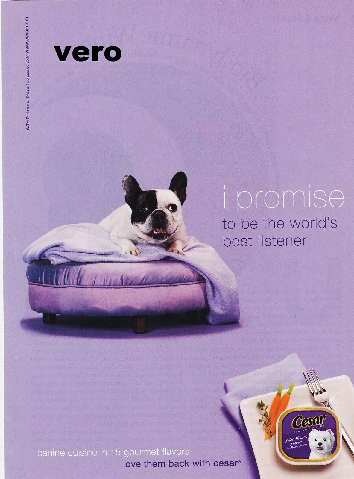 2007 English Bulldog Puppy Ad Print Photo Clipping Westie Terrier