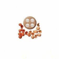SIMAC TRAFILA CONCHIGLIETTE RIGATE N.19 PER PASTAMATIC PM1000 PM1400N PM700N ECT