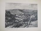 Bild 8 von 24