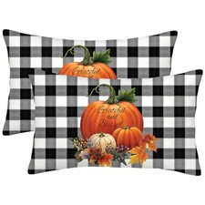 Fall Pillow Covers 12x20 Set of 2, Autumn 20" x 12" Pack of 2 Pumpkin