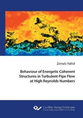 Zeinab Hallol Behaviour of Energetic Coherent Structures (Paperback) (UK IMPORT)