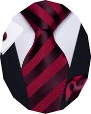 Striped Ties for Men Classic Woven Silk Necktie with A Maroon Striped
