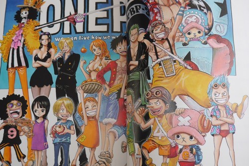Japan Eiichiro Oda One Piece Color Walk 8 Wolf Art Book