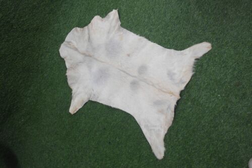 New Goat hide Rugs Area Goat Skin Leather Goat hide ULG 20018 (4.75 sqr ft) - Picture 1 of 4