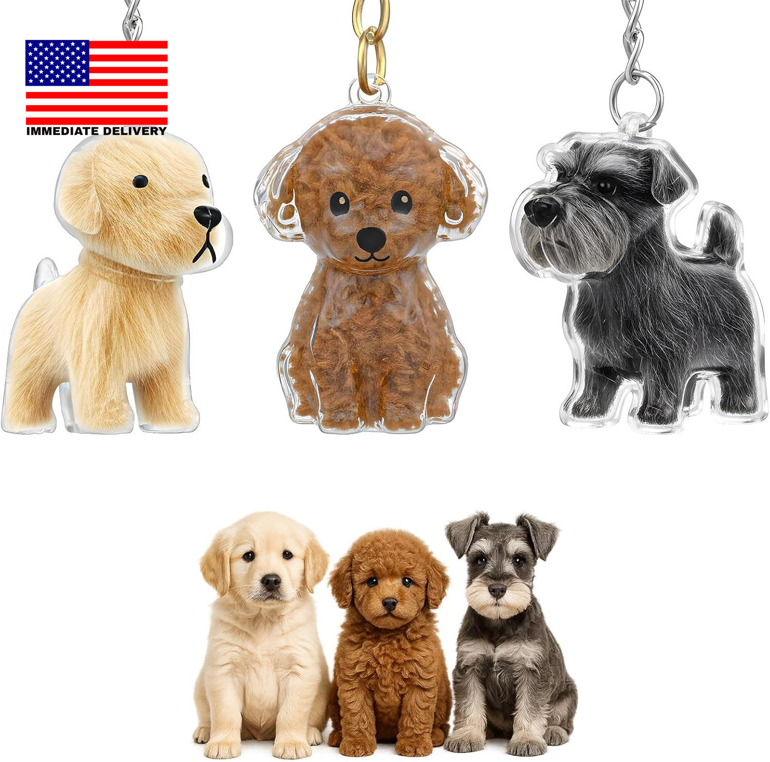 3Pcs Dog Hair Keepsake Keychain Charm Memorial Storage Box Pet Hair Memorial Kee