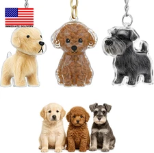 3Pcs Dog Hair Keepsake Keychain Charm Memorial Storage Box Pet Hair Memorial Kee