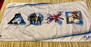 PLAYSTATION 5 ORIGINAL STORE PROMO CLOTH BANNER SIGN 48" X 24" PS5 US Seller