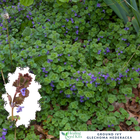 Bild 9 von 33