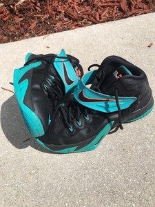 lebron zoom soldier 5