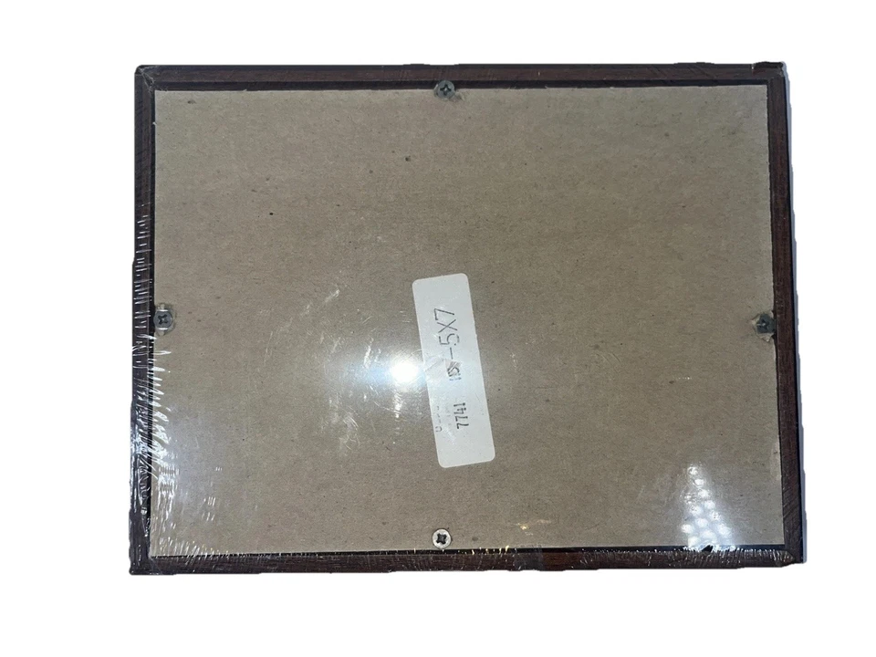 Vintage Collector’s Display Case Glass Front Wood Frame - Image 4 of 4