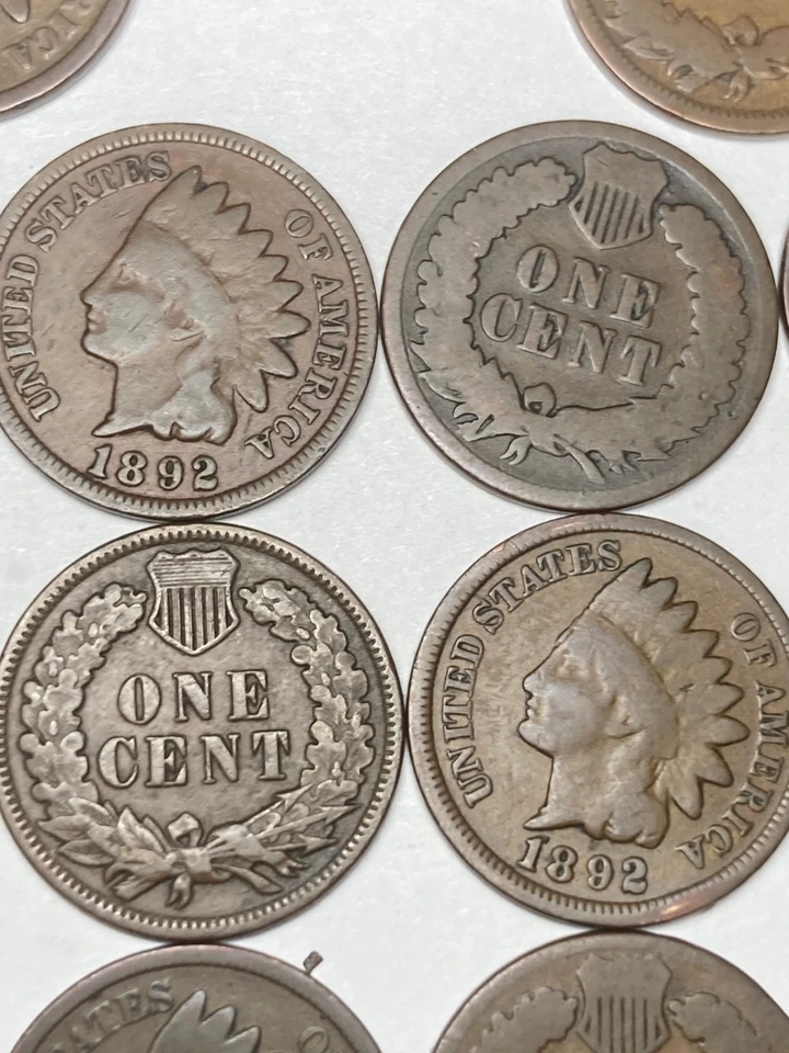 1892 INDIAN CENT ROLL, 50 nice condition coins, 133 year old coins - Image 3 of 4