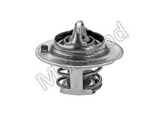 Thermostat Chrysler 300C