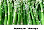 Seed Asparagus Guelph Millenium Great Spear Yield Hative Perennial Seeds CombS/H