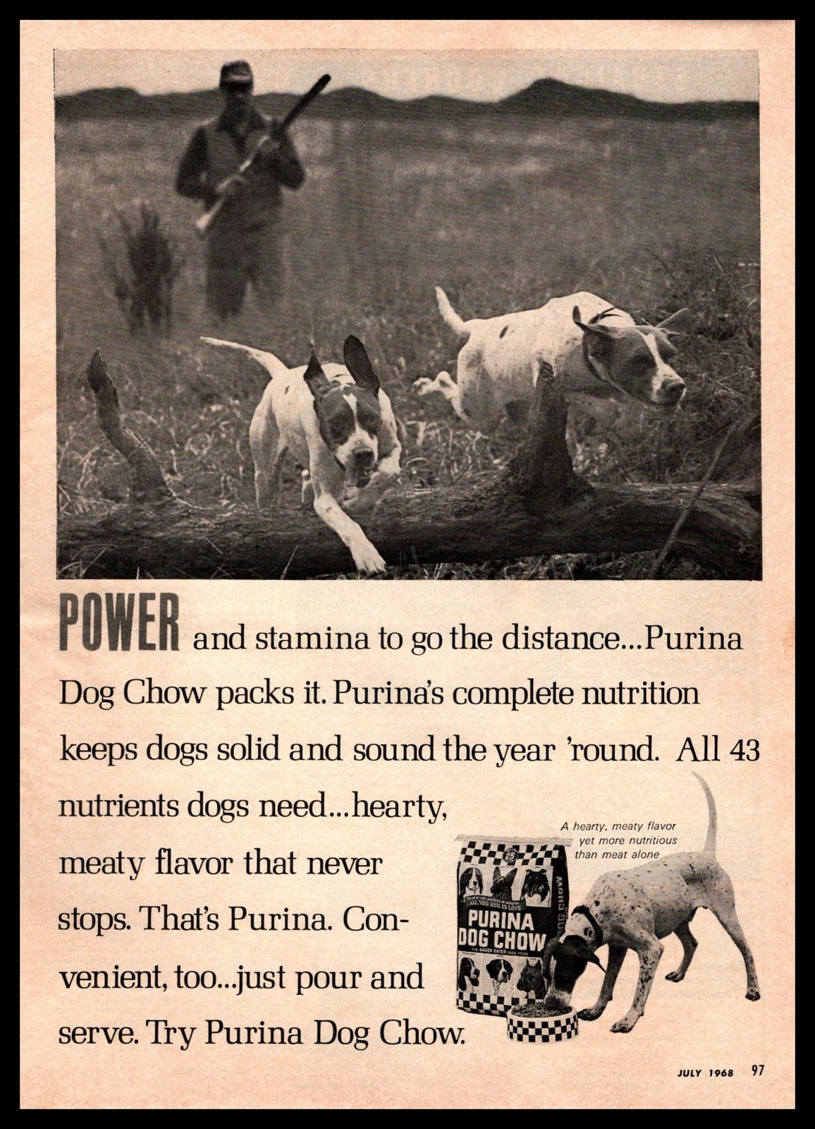 Print Ad