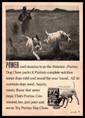 1968 Purina Dog Chow Dogs Duck Hunter And Hunting Dogs Vintage Dog Food Print Ad