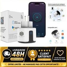 Prise Connectée WiFi 20A BEST CONNECTE - Smart Plug Mesure Consommation Alexa