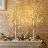 Eambrite 2Er Set Lichterbaum Lichterzweige FüR Innen 24 Warmweiß Leds BäUmchen B