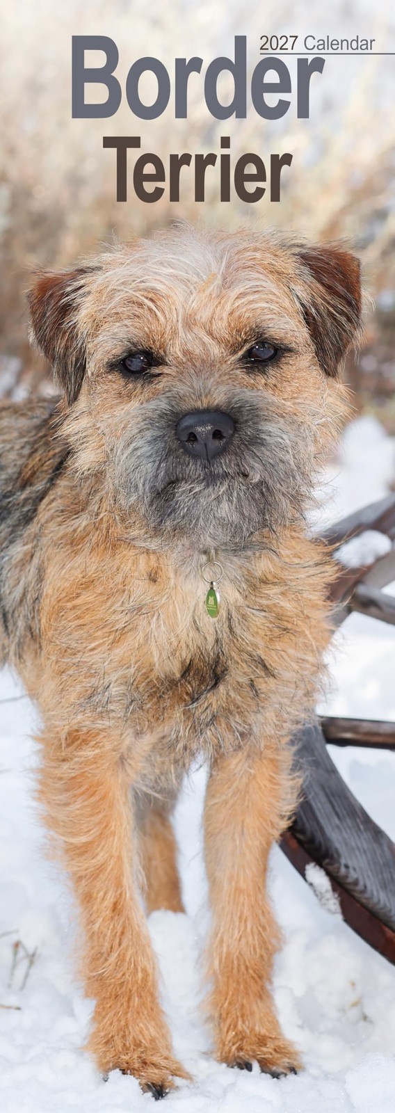 Border Terrier Slim 2027 Calendar | Slimline Wall Calendar | Dog Breed Gift | Plastic Free Packaging | by Avonside Publishing - Image 3