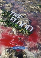 Julian Wright | The Flood | Taschenbuch | Englisch (2017) | [.]