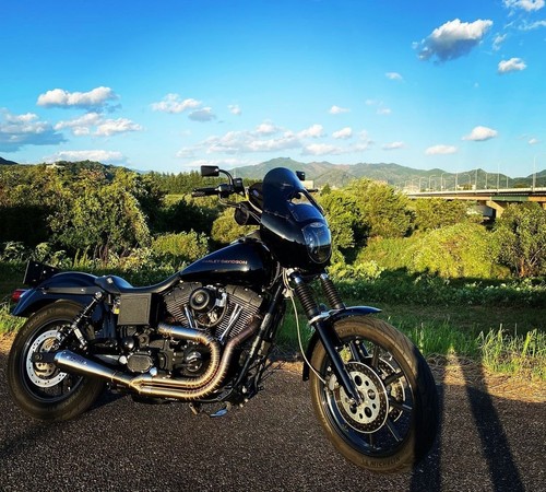 Full System Exhaust 2 IN 1 Fits Harley Davidson DYNA Street Bob 2006-2010