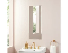 NEW Signature Hardware SH662049 #1 Alastor 15" x 36" Frameless Single Door Medic