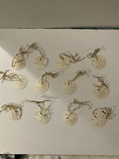 Lot Of 12 Sand Dollar Ornaments