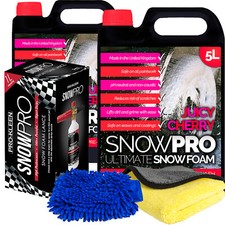Snow Foam Shampoo 10L Car Wax Wash Soap Cleaning Kit Karcher Lance Compatible