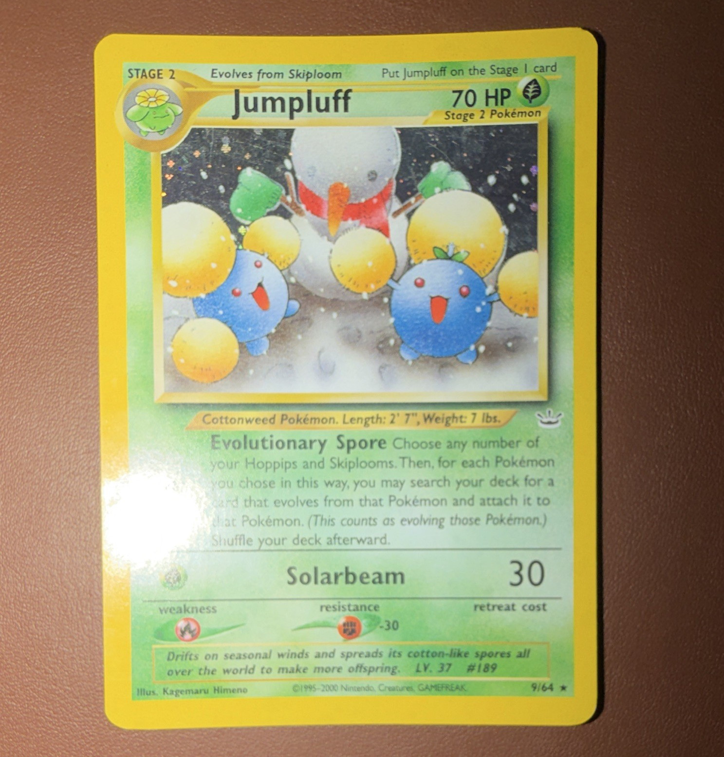 The Pokémon Company Jumpluff 09/64 Neo Revelation Holo Rare 70 HP Stage 2