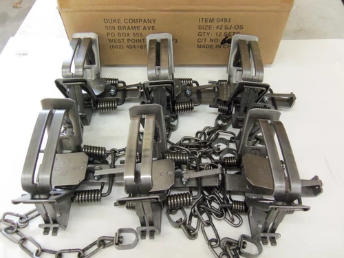 6 Duke # 2 Square Jaw Offset Coil Spring Traps 0493 Coyote Bobcat Fox Trapping