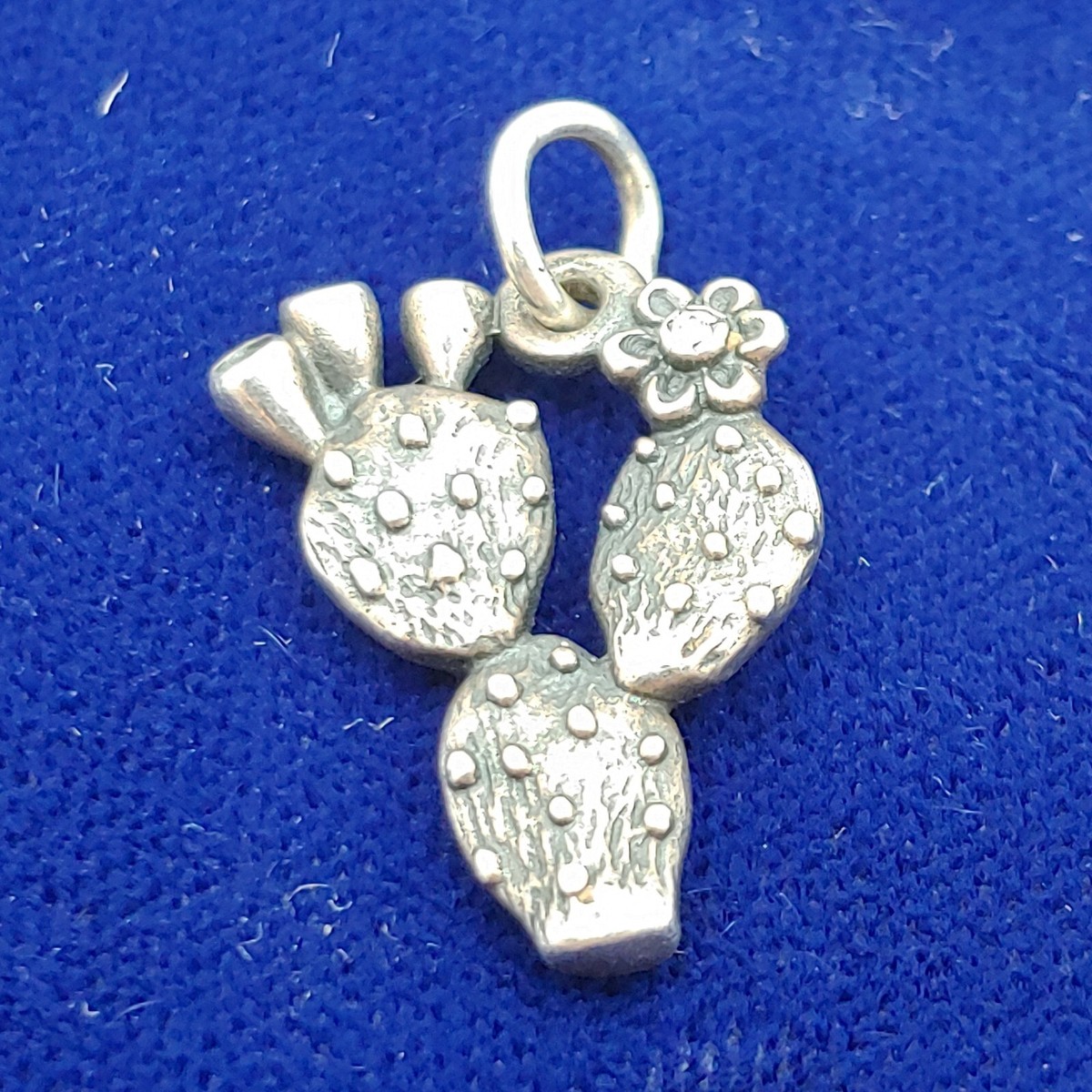 Silver Charms James Avery Cactus Charm Cactus Charm James Avery On
