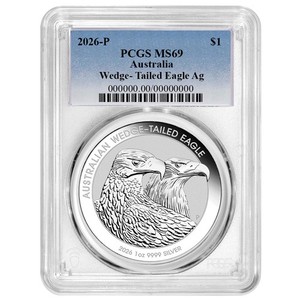 Australia Wedge Tailed Eagle | eBay