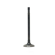 DNJ EV4231