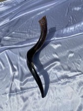 Original Yemenite Shofar Kosher Polished Quality Israel Made Natural 30  -32  
