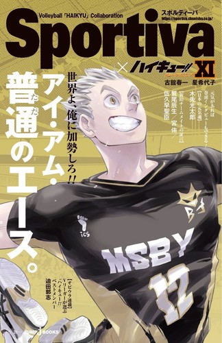 Haikyuu romanzo versione sportiva limitata set completo 13 e 13 copertine libri incluse - Foto 15 di 19