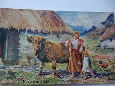 CROFT HIGHLAND COW OIL FINISH SCOTTISH CROFTER POSTKARTE STECKPOSTKARTE P12 F17