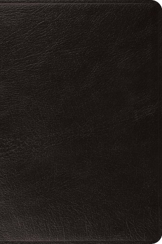 ESV Large Print Bible by  Not Available - 9781433557613
