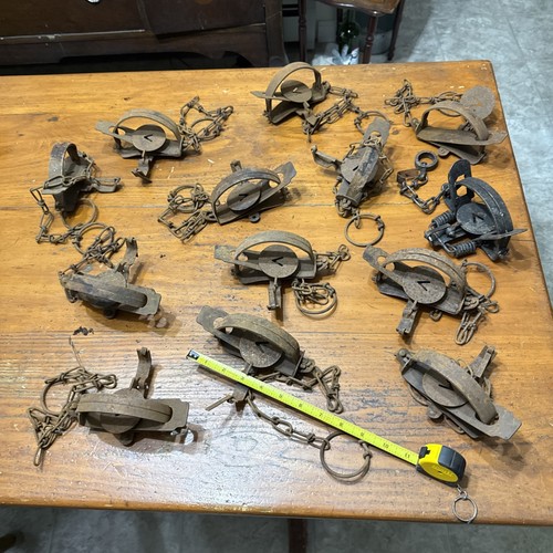 Vintage Oneida Victor Single Spring Animal Fur Traps Lot of 13 Used (A ...